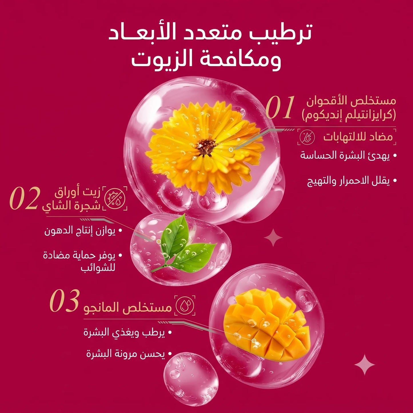مجموعة RtopR المطورة لتنقية مسام الأنف – مقشر 2 في 1 لإزالة الرؤوس السوداء والدهون مع 50 شريطاً نباتياً